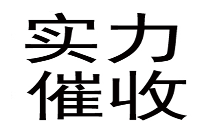 债务强制执行申请法院流程详解